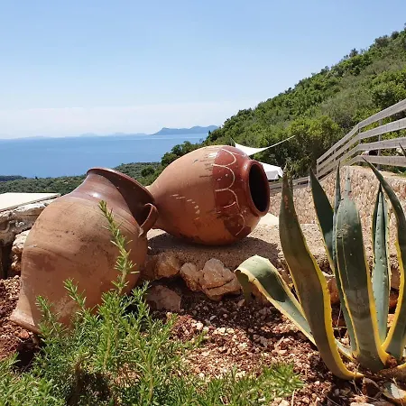 Albatross * Syvota